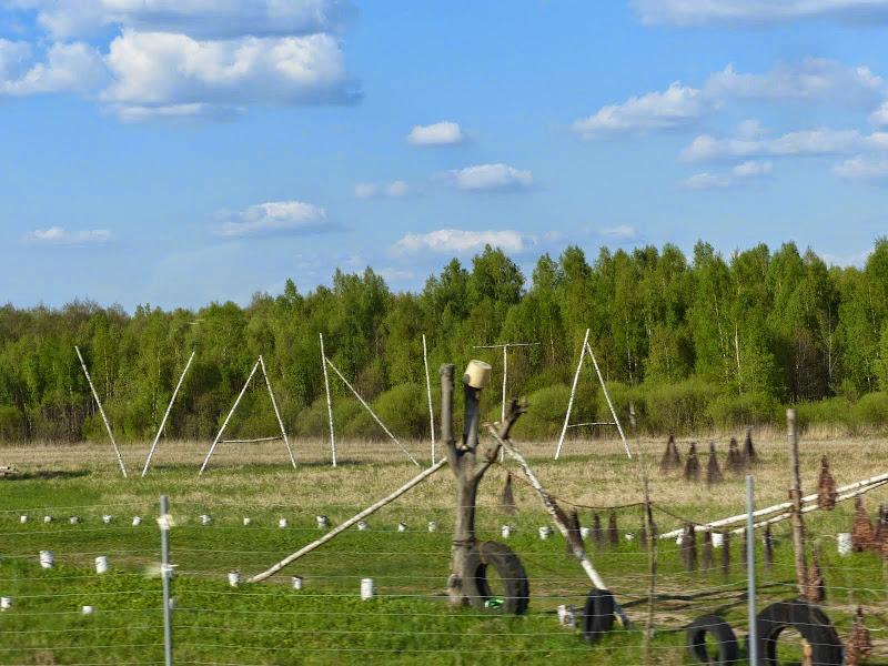 litwa, łotwa