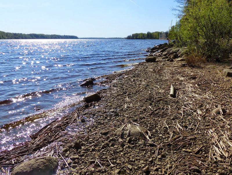 litwa, łotwa