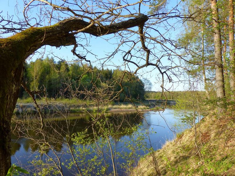 litwa, łotwa