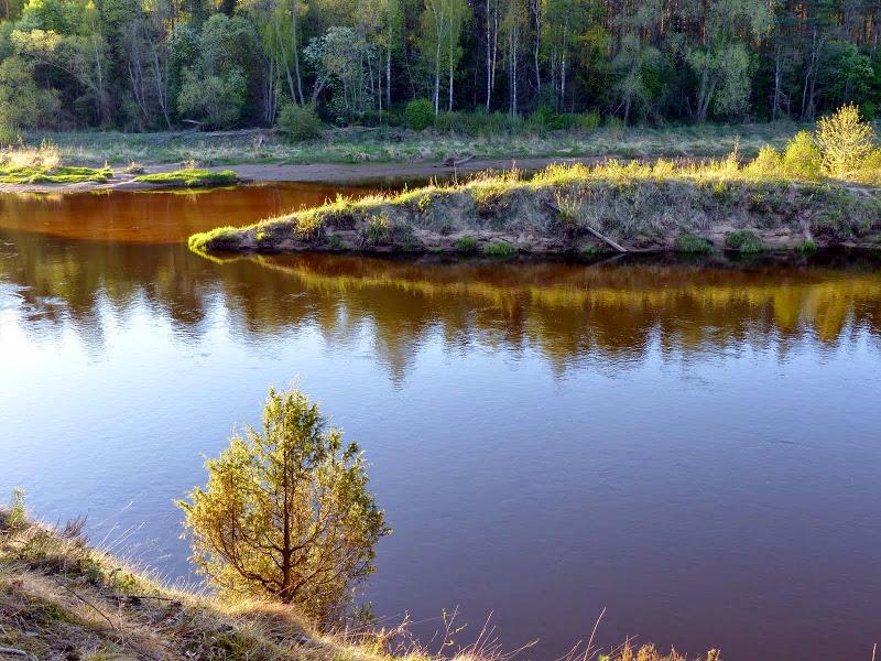 litwa, łotwa