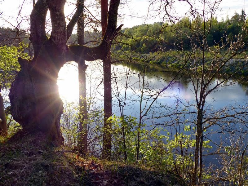 litwa, łotwa