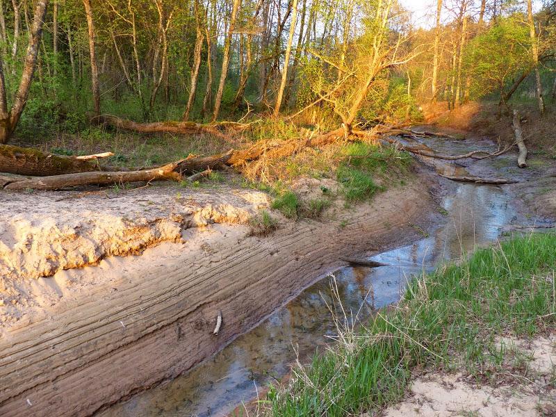 litwa, łotwa