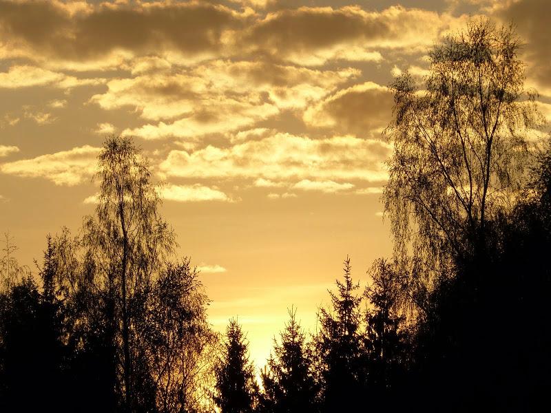 litwa, łotwa