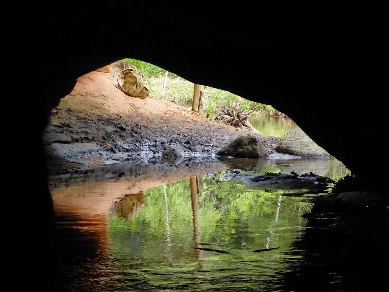 litwa, łotwa