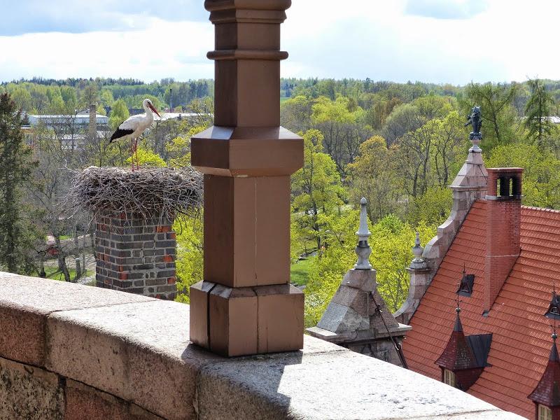 litwa, łotwa