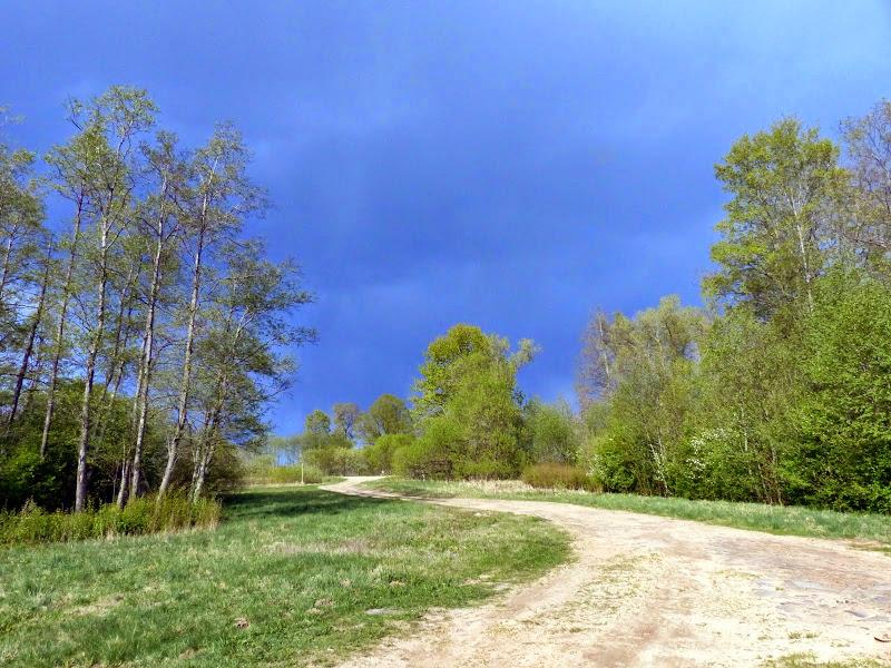 litwa, łotwa