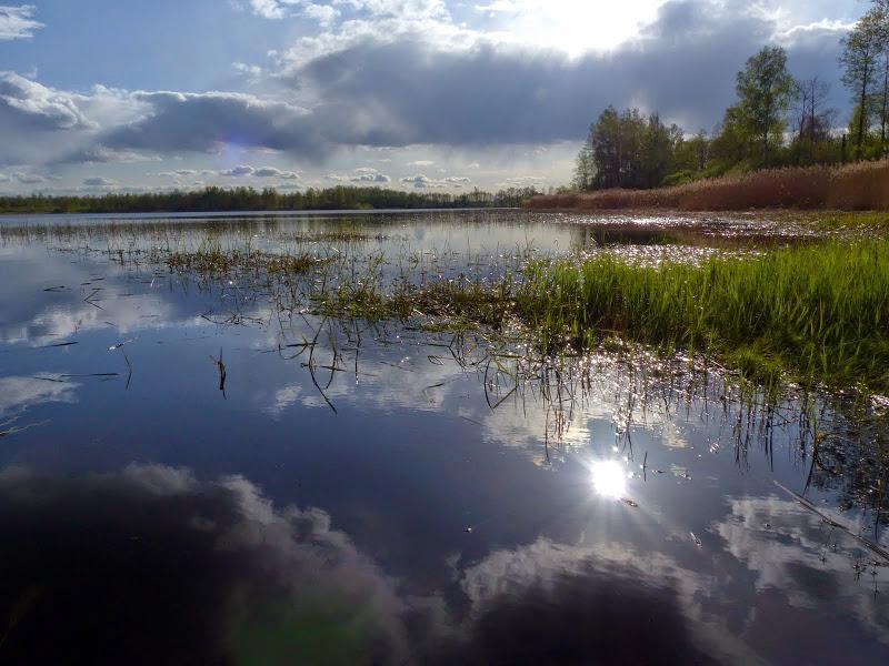 litwa, łotwa