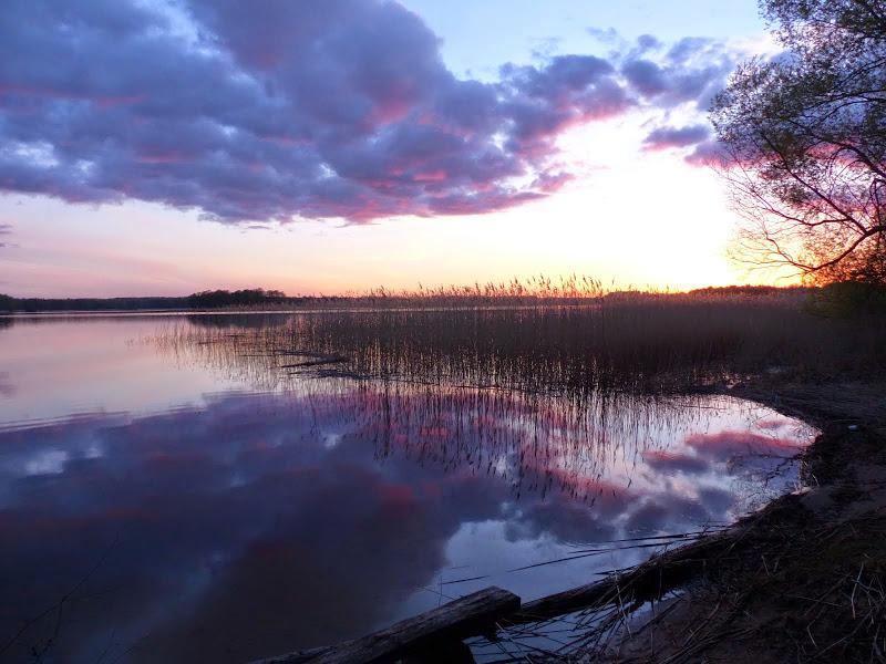litwa, łotwa
