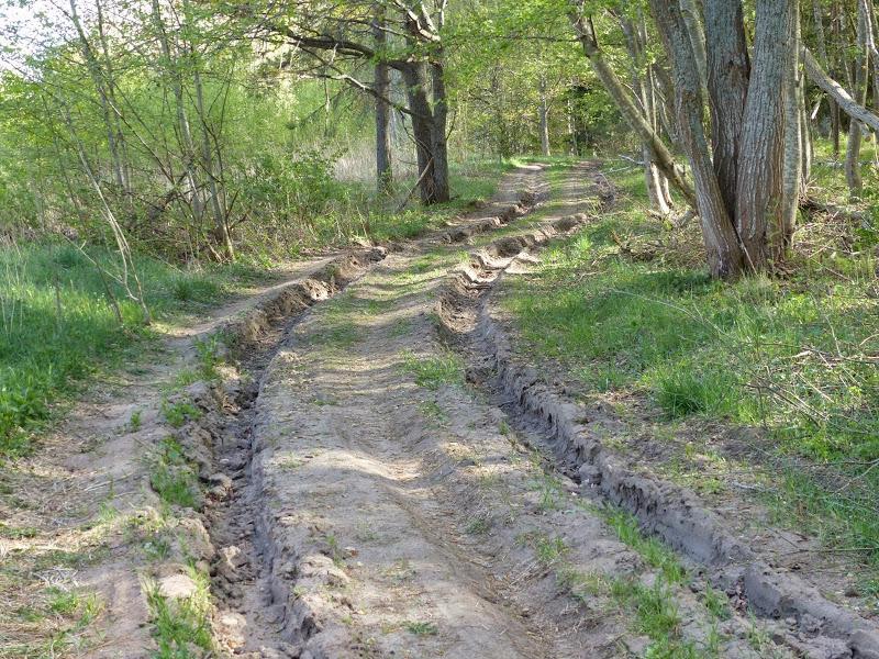 litwa, łotwa