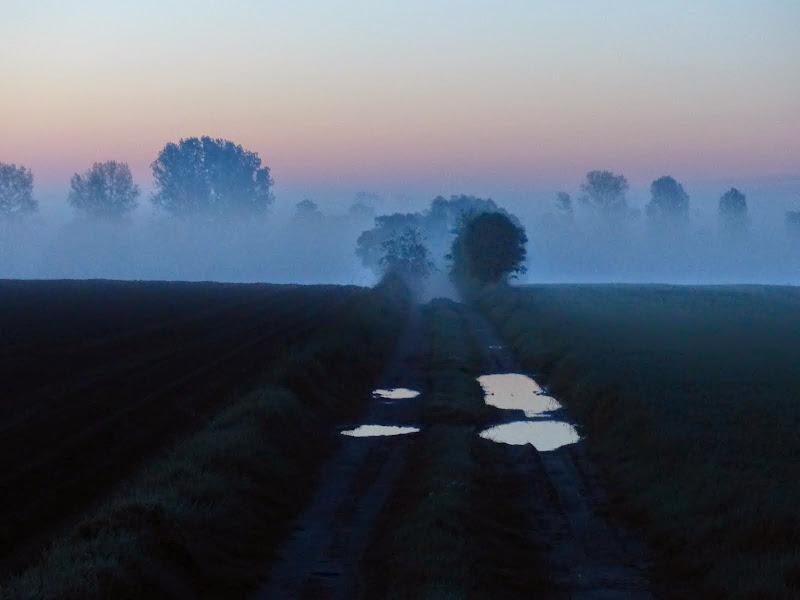 litwa, łotwa