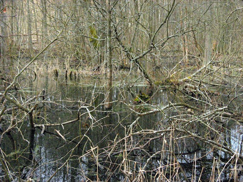 Łotwa - relacja z podróży