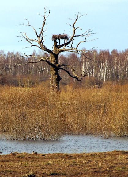 Łotwa - relacja z podróży