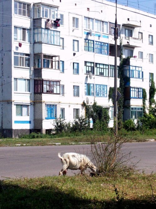 ukraińskie morze czarne