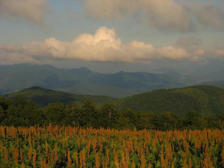 Ukraina - Karpaty - Połonina Równa