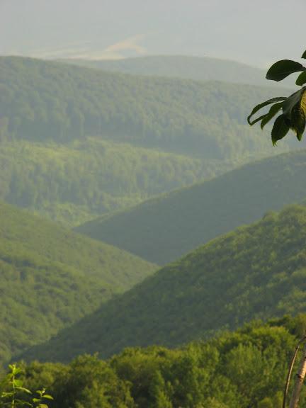 Ukraina - Karpaty - Połonina Równa