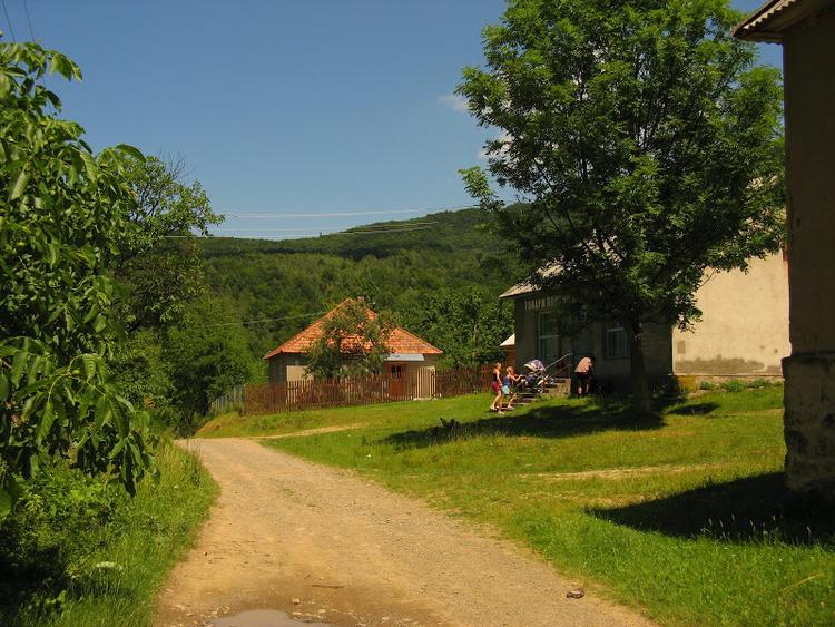Ukraina - Karpaty - Połonina Równa