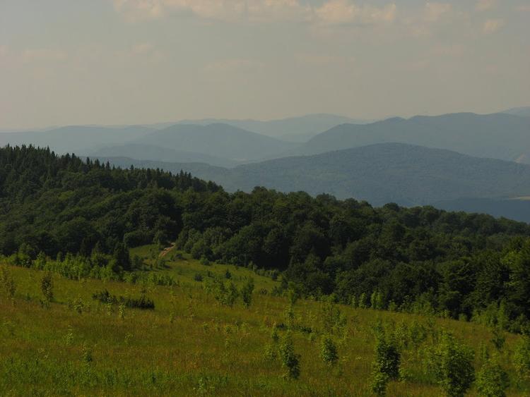 Ukraina - Karpaty - Połonina Równa