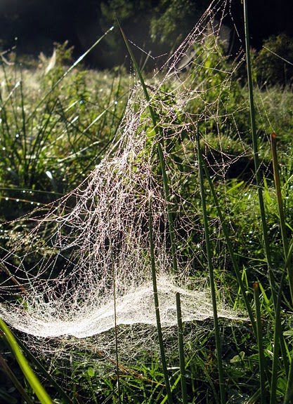 Ukraińskie Połoniny - relacja z podróży