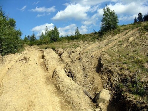 Ukraińskie Połoniny - relacja z podróży