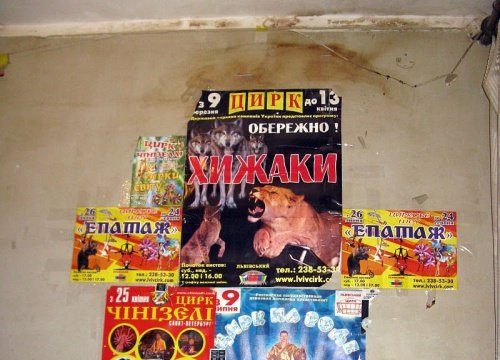 Ukraińskie Połoniny - relacja z podróży