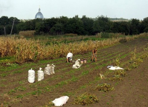 Ukraińskie Połoniny - relacja z podróży