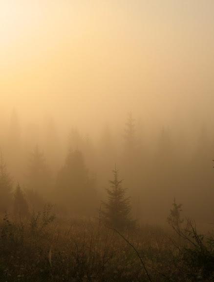 Ukraińskie Bieszczady - relacja z podróży