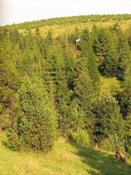 Ukraińskie Bieszczady - relacja z podróży