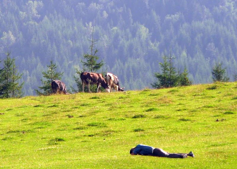 Ukraińskie Bieszczady - relacja z podróży