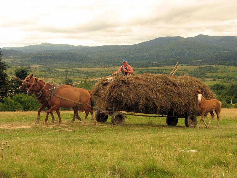 Ukraińskie Bieszczady - relacja z podróży