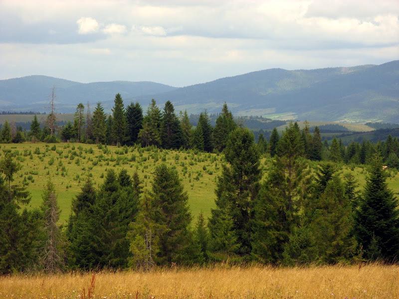 Ukraińskie Bieszczady - relacja z podróży