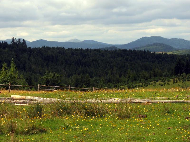 Ukraińskie Bieszczady - relacja z podróży