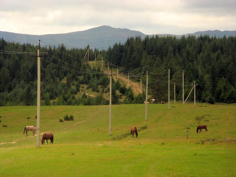 Ukraińskie Bieszczady - relacja z podróży