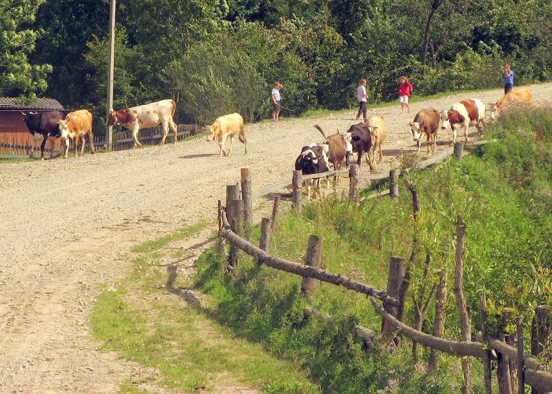 Ukraińskie Bieszczady - relacja z podróży