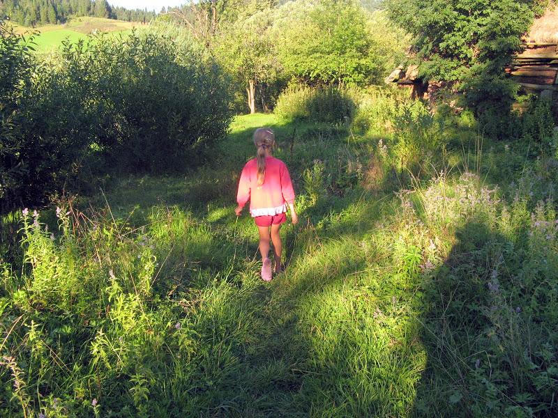 Ukraińskie Bieszczady - relacja z podróży
