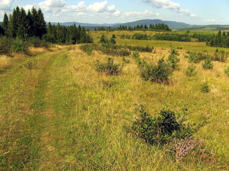 Ukraińskie Bieszczady - relacja z podróży