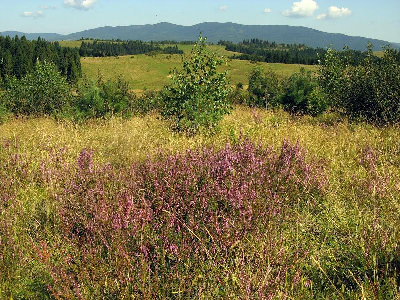 Ukraińskie Bieszczady - relacja z podróży
