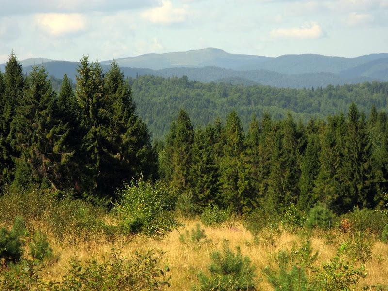 Ukraińskie Bieszczady - relacja z podróży