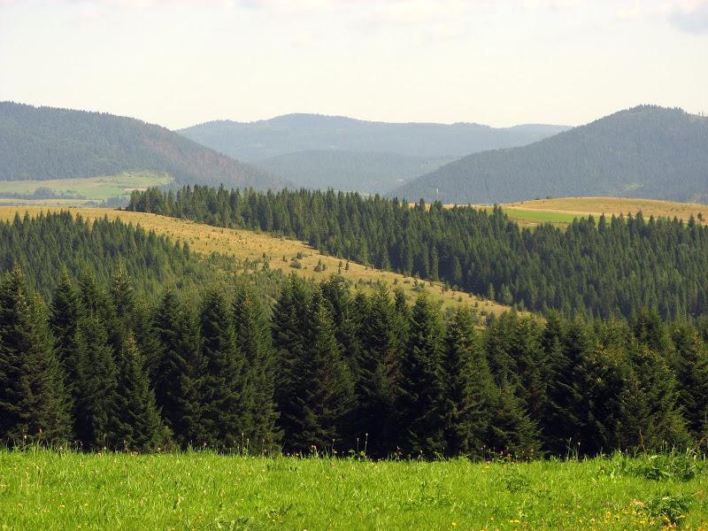 Ukraińskie Bieszczady - relacja z podróży