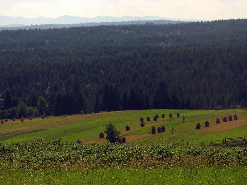 Ukraińskie Bieszczady - relacja z podróży