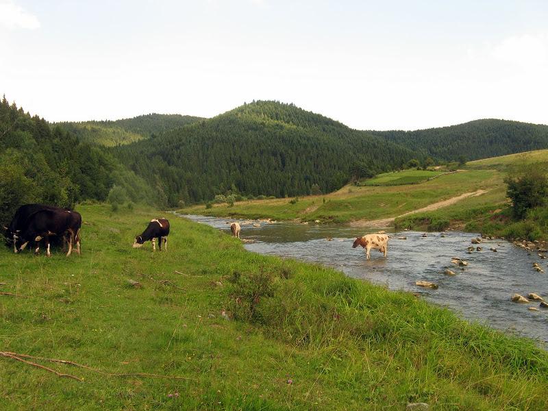 Ukraińskie Bieszczady - relacja z podróży