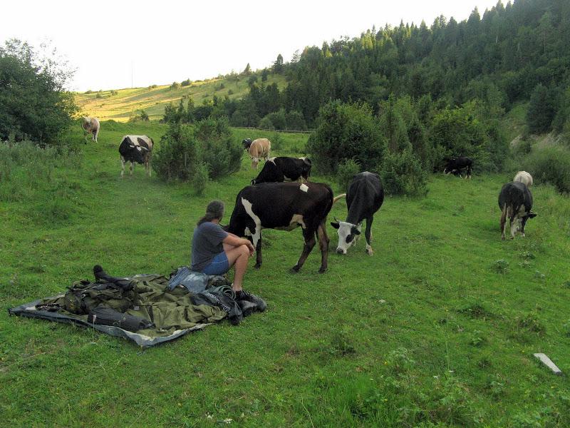 Ukraińskie Bieszczady - relacja z podróży