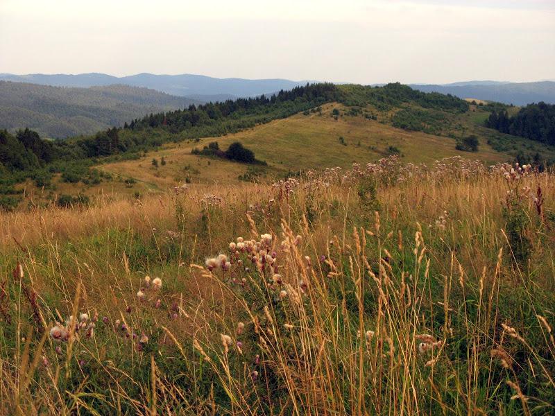 Ukraińskie Bieszczady - relacja z podróży