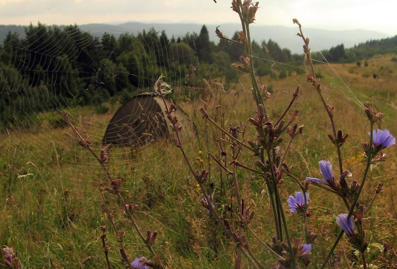 Ukraińskie Bieszczady - relacja z podróży
