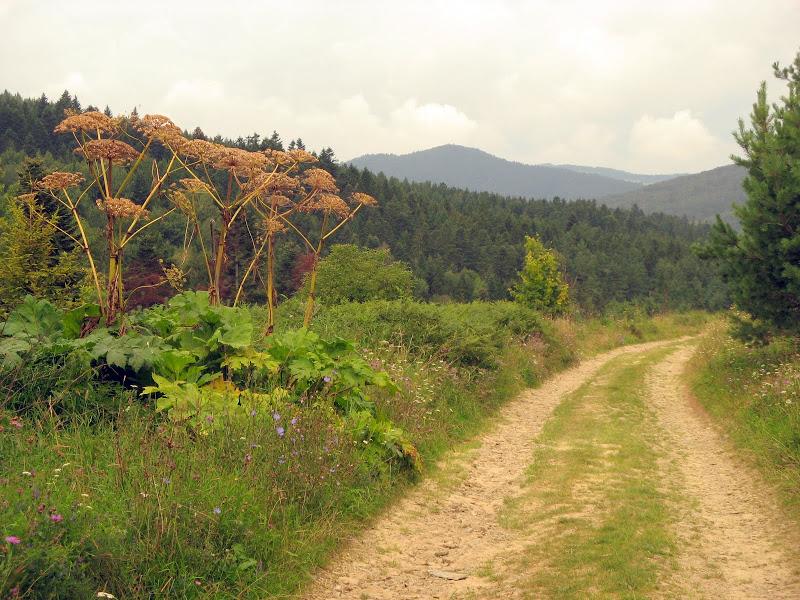 Ukraińskie Bieszczady - relacja z podróży