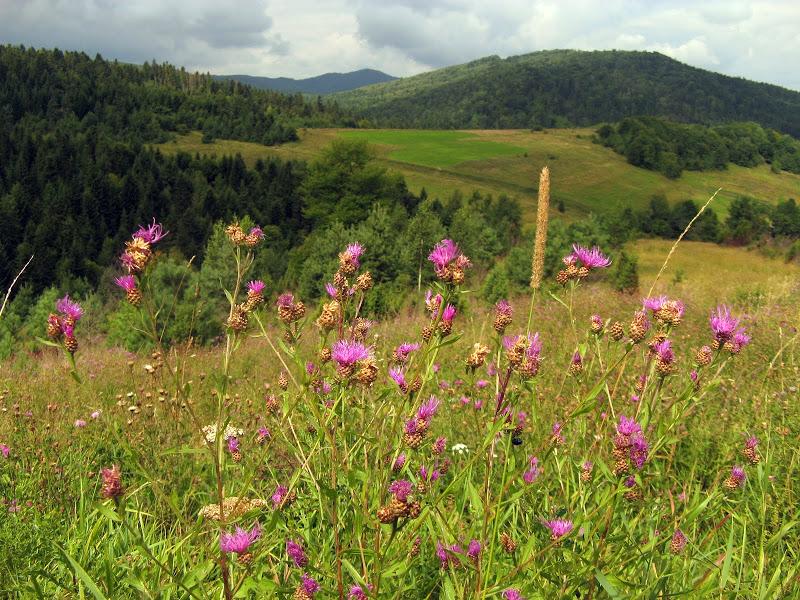 Ukraińskie Bieszczady - relacja z podróży