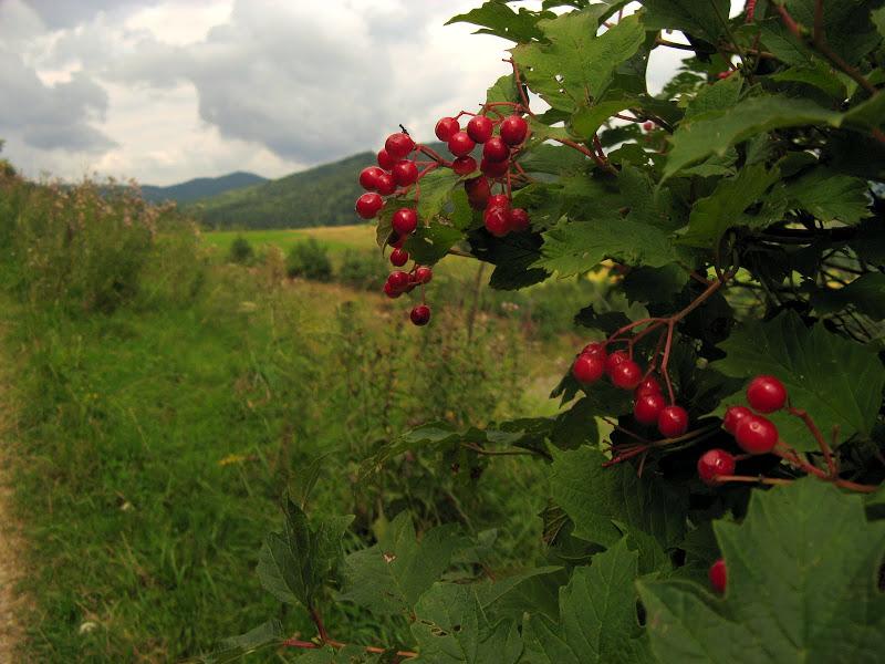 Ukraińskie Bieszczady - relacja z podróży