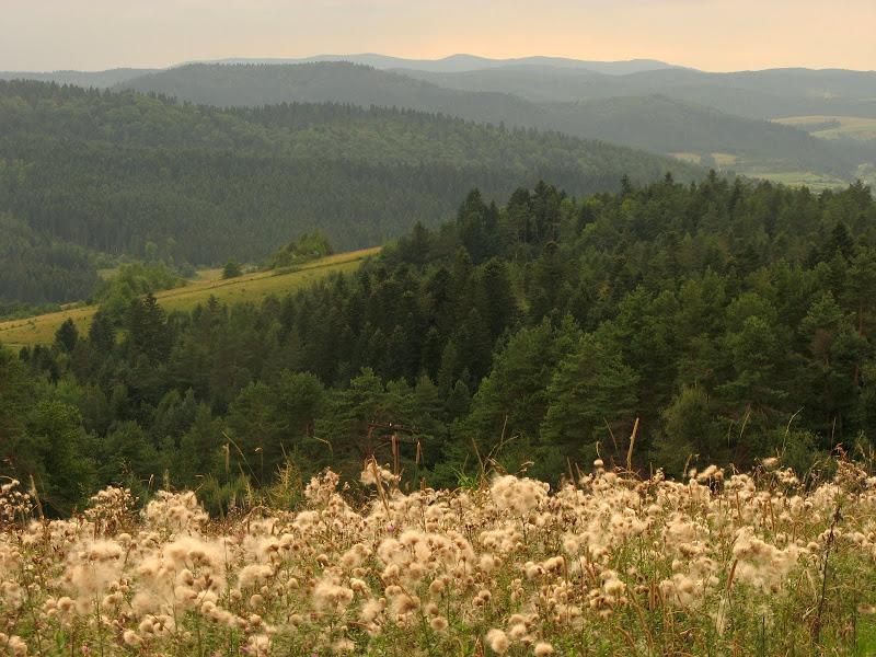 Ukraińskie Bieszczady - relacja z podróży