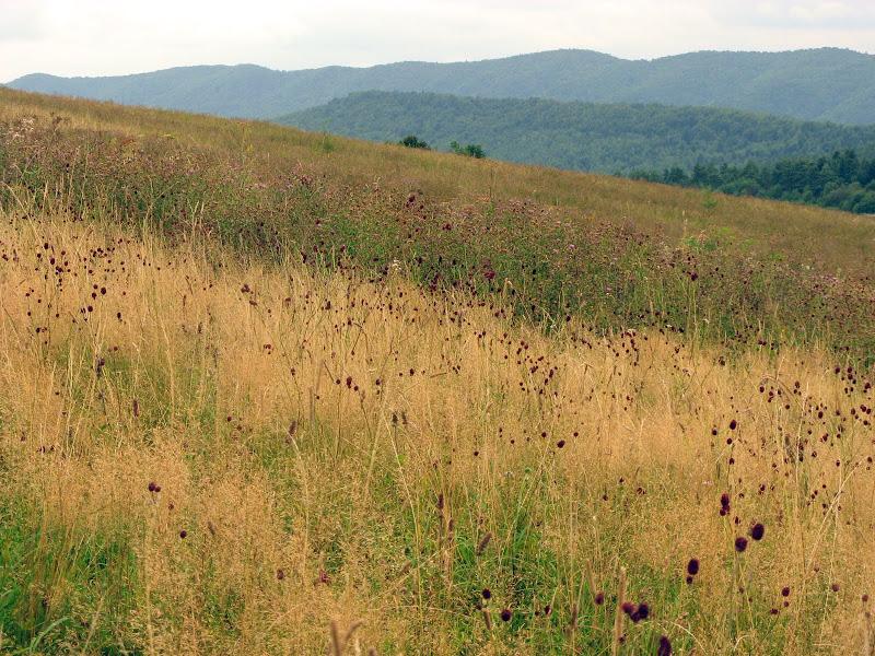 Ukraińskie Bieszczady - relacja z podróży