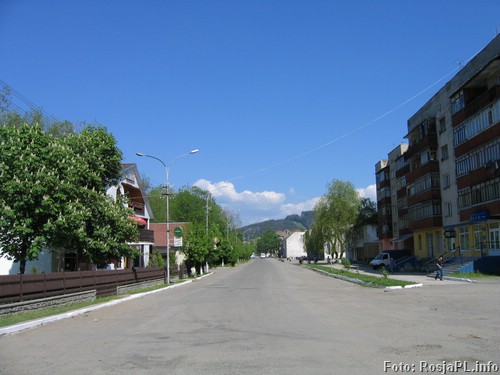 Wołowiec